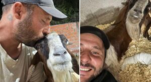 17770266963055977375245767909981