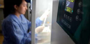 17773074748378079112032121959299